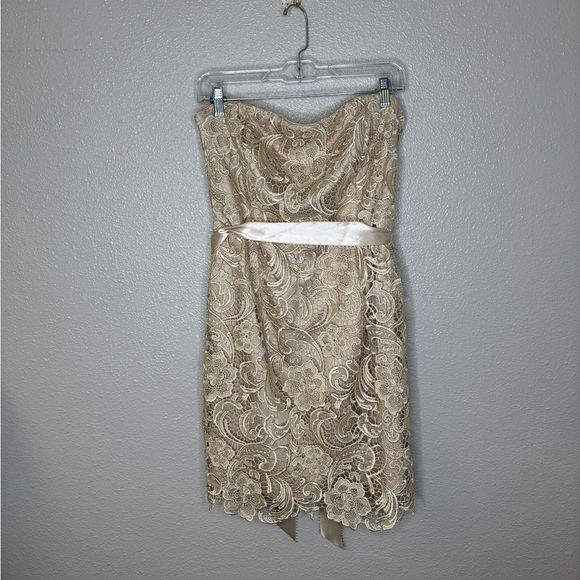 Adrianna Papell Strapless Lace Sheath Dress Champagne Size 10 - Picture 4 of 10